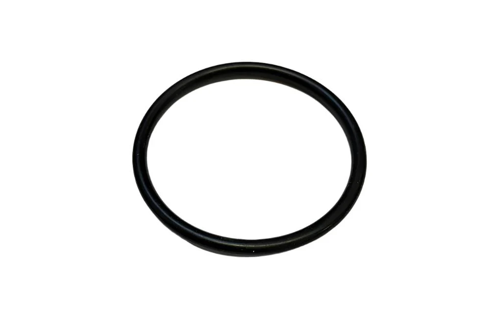 527235 O Ring Thermostat