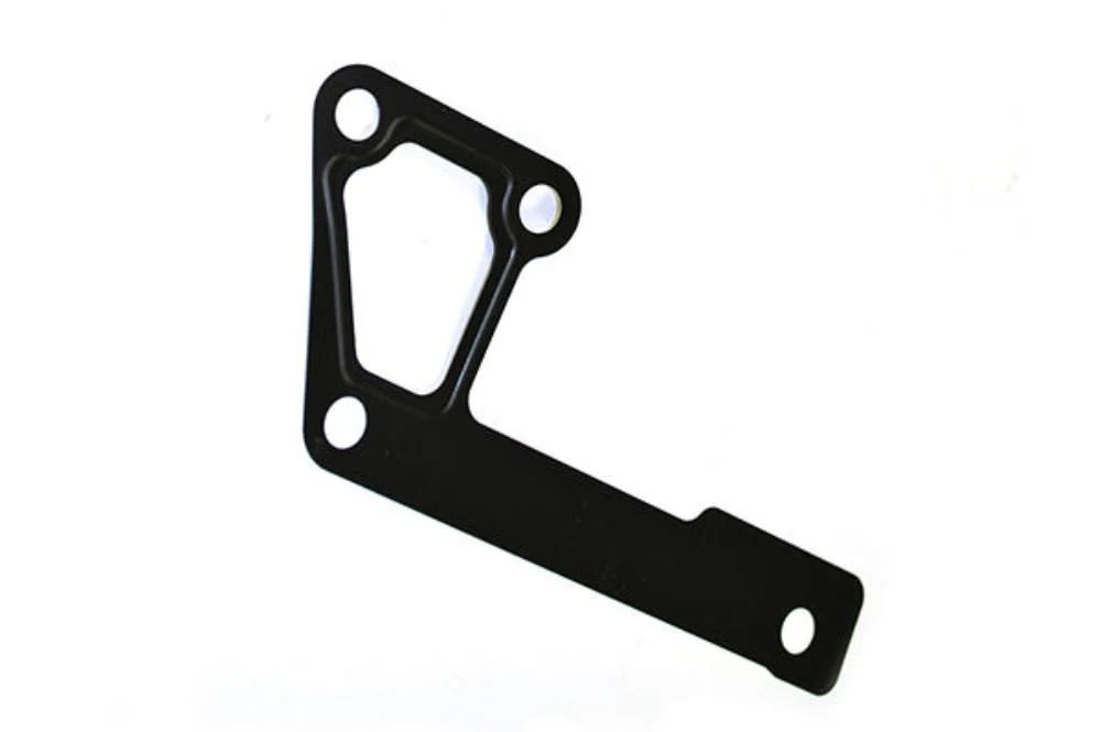 PET100790 Gasket Water Pump