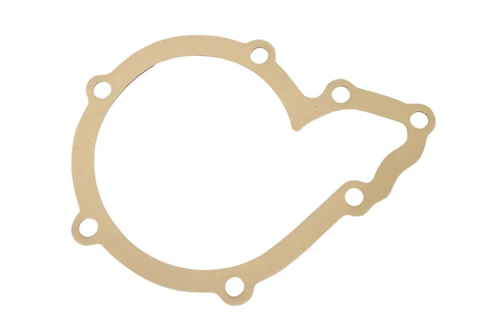 ERC5655 Gasket Water Pump