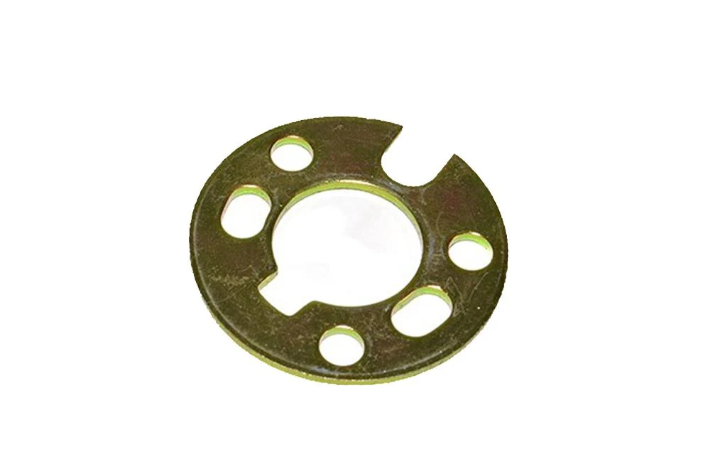 ERR2216 Plate Camshaft Pulley Retaining