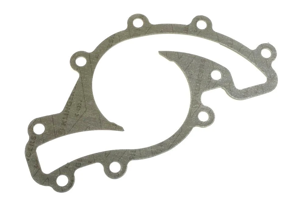 ERR4077 Water Pump Gasket