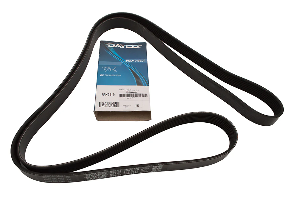 ERR4460 Belt - Polyvee Alternator