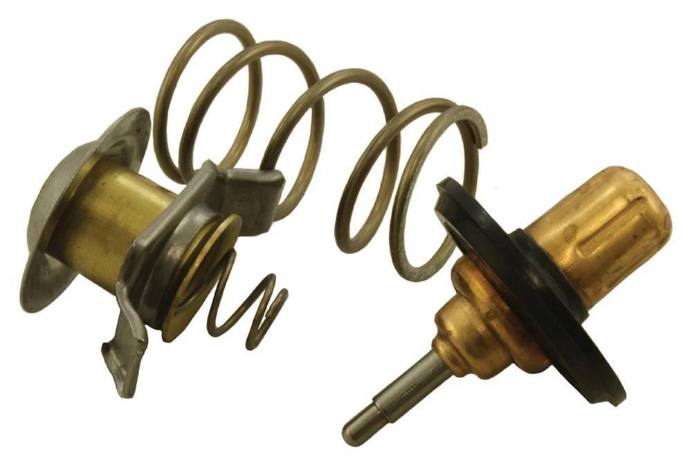 LR005765 Thermostat